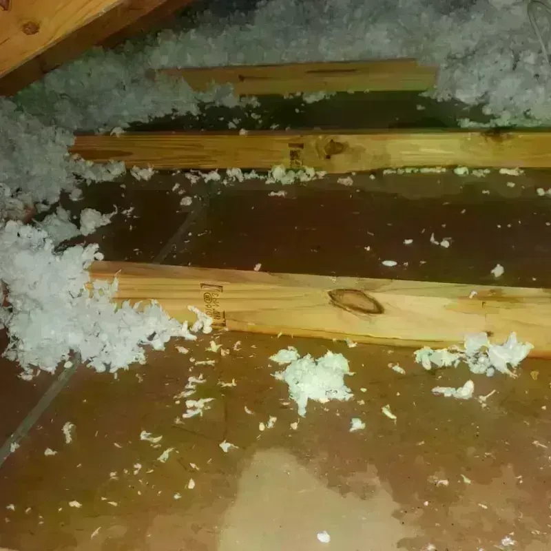 Attic Water Damage in Whittier, CA