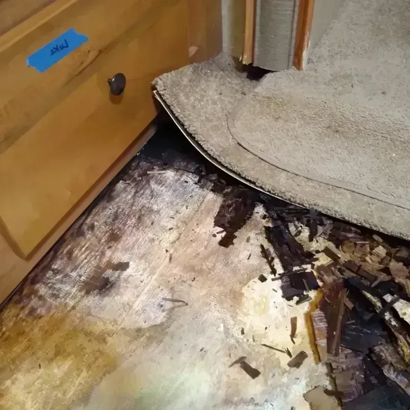 Wood Floor Water Damage in Whittier, CA